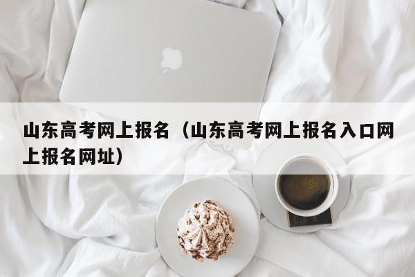 山东高考网上报名（山东高考网上报名入口网上报名网址）