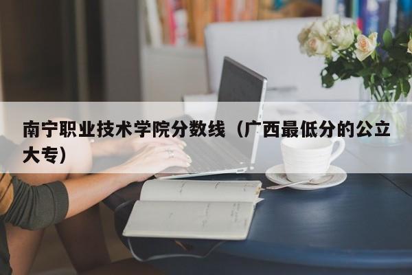 南宁职业技术学院分数线（广西最低分的公立大专）