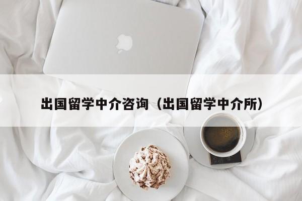 出国留学中介咨询（出国留学中介所）