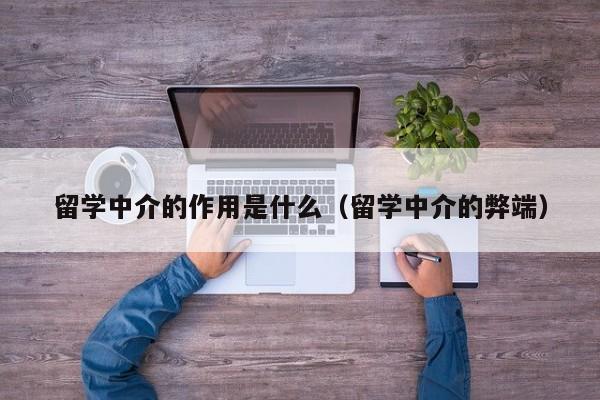 留学中介的作用是什么（留学中介的弊端）