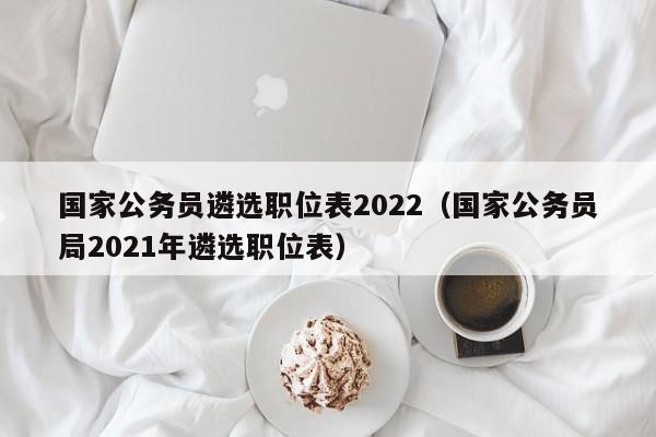 国家公务员遴选职位表2022（国家公务员局2021年遴选职位表）