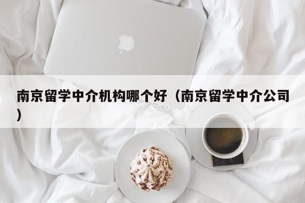 南京留学中介机构哪个好（南京留学中介公司）