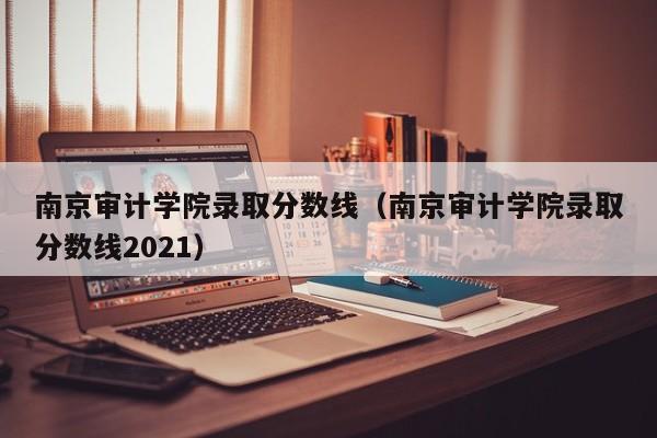 南京审计学院录取分数线（南京审计学院录取分数线2021）