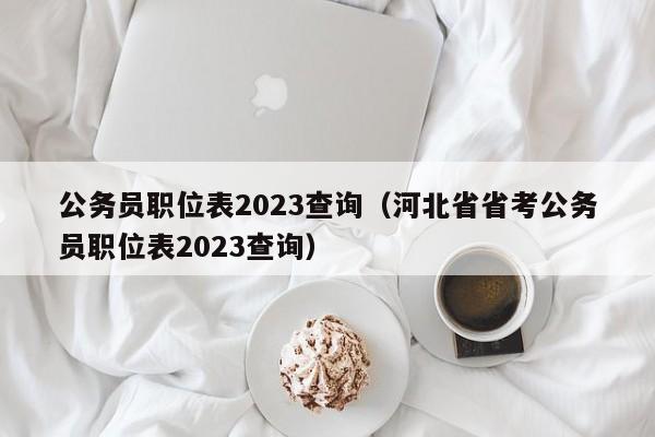 公务员职位表2023查询（河北省省考公务员职位表2023查询）