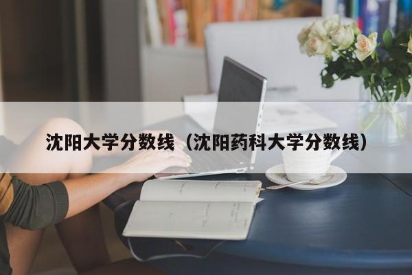 沈阳大学分数线（沈阳药科大学分数线）